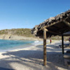 Meet your Posher, Burkley